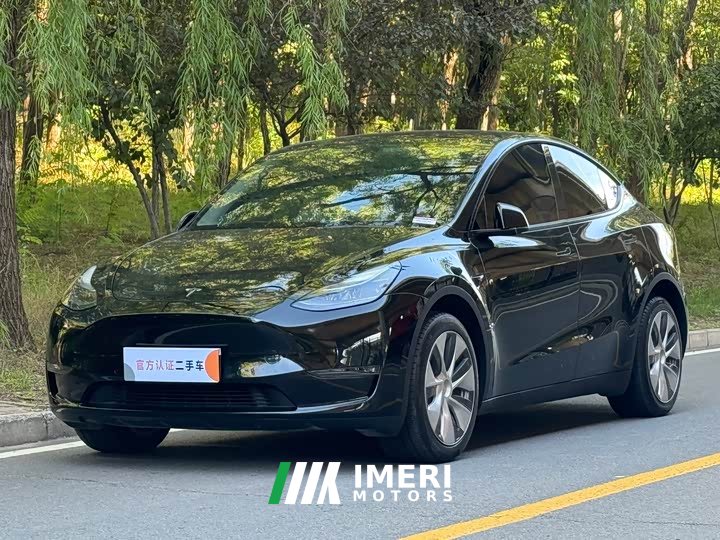 Tesla Model Y Long Range Edition