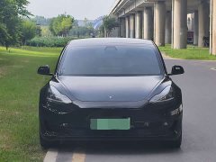 Tesla Model 3 2020 Facelift Standard Range RWD Upgrade - ფოტო 1