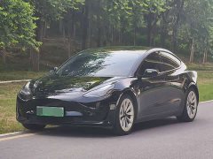 Tesla Model 3 2020 Facelift Standard Range RWD Upgrade - ფოტო 2