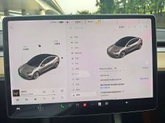 Tesla Model 3 2020 Facelift Standard Range RWD Upgrade - ფოტო 8