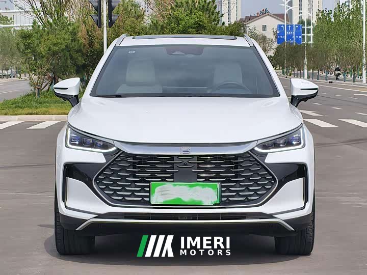 BYD Tangxin Energy DM-p Champion Edition 215KM four-wheel drive exclusive