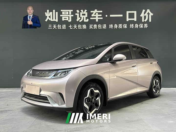 BYD Dolphin 2021 405km fashion version