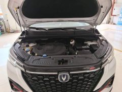 Changan CS55 PLUS 2022 Blue Whale Edition 1.5T DCT Luxury - ფოტო 20