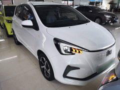 Changan Benben E-Star 2020 Heartbeat Edition ternary lithium - ფოტო 3