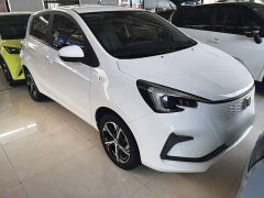 Changan Benben E-Star 2020 Heartbeat Edition ternary lithium - ფოტო 4