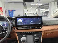 Hongqi HQ9 PHEV 2024 2.0T AWD Business Edition - photo 14