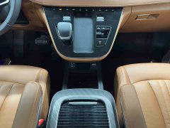 Hongqi HQ9 PHEV 2024 2.0T AWD Business Edition - photo 15