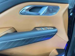 Hongqi HQ9 PHEV 2024 2.0T AWD Business Edition - photo 7