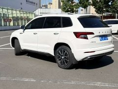 Skoda Corollac TSI280 Premium Edition - ფოტო 8
