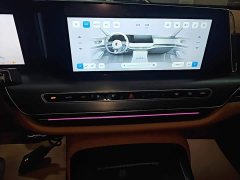 Hongqi H9 2024 2.0T Qixiang Private Fashion Edition - ფოტო 13