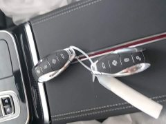 Hongqi H9 2024 2.0T Qichang Private Fashion Edition - ფოტო 9