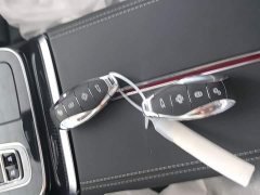 Hongqi H9 2024 2.0T Qichang Private Fashion Edition - ფოტო 9