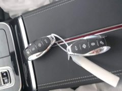 Hongqi H9 2024 2.0T Qichang Private Fashion Edition - ფოტო 9
