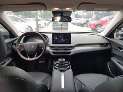 Hongqi E-QM5 2022 431km Charging Enjoyment Edition - ფოტო 10