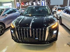 Hongqi HS3 PHEV 2024 115km Jinwei Edition - ფოტო 3
