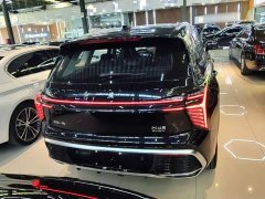 Hongqi HS3 PHEV 2024 115km Jinwei Edition - ფოტო 6