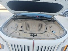 FAW Red Flag E-HS9 660km Range Flagship Edition Four-Seater - ფოტო 20