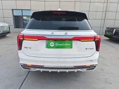 FAW Red Flag E-HS9 660km Range Flagship Edition Four-Seater - ფოტო 6