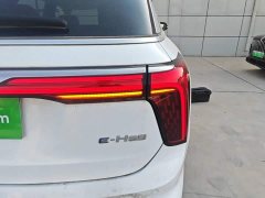 FAW Red Flag E-HS9 660km Range Flagship Edition Four-Seater - ფოტო 8