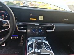 FAW Red Flag E-HS9 660km Range Flagship Edition Four-Seater - ფოტო 13