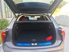 FAW Red Flag E-HS9 660km Range Flagship Edition Four-Seater - ფოტო 19