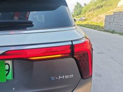 FAW Red Flag E-HS9 660km Range Flagship Edition Four-Seater - ფოტო 8