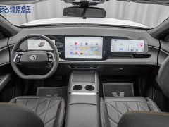 Changan CS75 PLUS Fourth Generation 1.5T New Blue Whale Intelligent Premium Edition - ფოტო 12