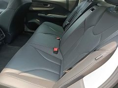 Hongqi E-QM5 2023 basic travel version - ფოტო 17