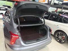 Hongqi H5 2023 2.0T Automatic Zhilianqichang Edition - photo 19