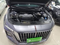 Hongqi H5 2023 2.0T Automatic Zhilianqichang Edition - photo 20