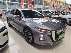 Hongqi H5 2023 2.0T Automatic Zhilianqichang Edition - photo 4