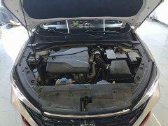 Hongqi HS7 PHEV 2024 2.0T PHEV four-wheel drive Qichang version 6 seats - photo 20