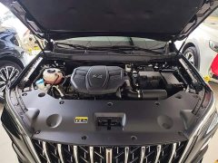 Hongqi HS5 2023 2.0T Qixiang Pro Edition - ფოტო 20