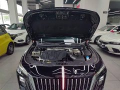 Hongqi H5 2024 1.5T DCT Zhilian Qiyun Edition - photo 20