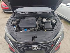 Changan Eado 2024 PLUS Blue Whale NE 1.4T GDI DCT High Performance Edition - ფოტო 20