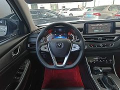 Changan CS75 2022 Blue Whale Edition 1.5T DCT Luxury - ფოტო 11