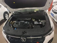 Changan CS35 Plus 2021 Facelift Blue Whale NE 1.4T DCT Luxury - ფოტო 20