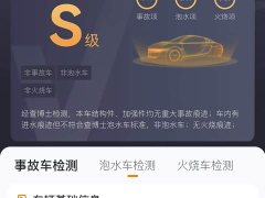 Hongqi HS5 2019 2.0T Smart Flagship Four-Wheel Drive - ფოტო 10