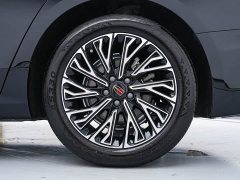 Hongqi H5 2024 2.0T Automatic Zhilian Qichang Edition - photo 16