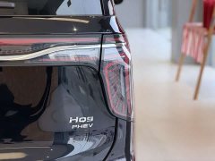 FAW Red Flag HQ9 PHEV 2.0T AWD Business Edition - ფოტო 4