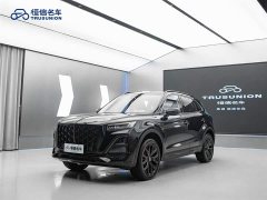 FAW Hongqi HS5 2.0T Two-Wheel Drive Mystic Shadow Edition - ფოტო 1
