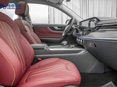 FAW Hongqi HS5 2.0T Two-Wheel Drive Mystic Shadow Edition - ფოტო 15