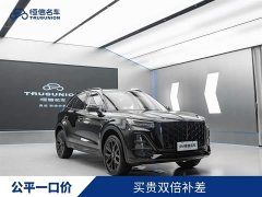 FAW Hongqi HS5 2.0T Two-Wheel Drive Mystic Shadow Edition - ფოტო 3