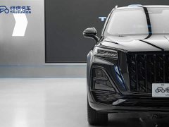 FAW Hongqi HS5 2.0T Two-Wheel Drive Mystic Shadow Edition - ფოტო 8