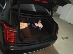 Hongqi H9 2020 2.0T Zhilian Flagship Edition - ფოტო 4
