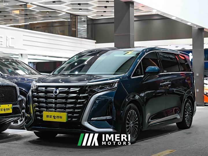 Denza D9 DM-i 970 four-wheel drive flagship