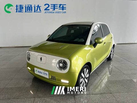 2021 ORA Black Cat 2021 351km Standard Trim - ავტომობილი ჩინეთიდან