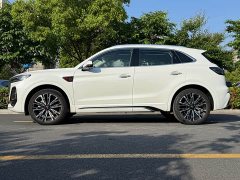 Hongqi HS5 2023 2.0T Qiling Pro version - ფოტო 5