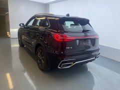 Hongqi HS5 2025 2.0T two-wheel drive Qixiang Pro version - ფოტო 15