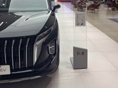 Hongqi HS7 PHEV 2024 2.0T PHEV four-wheel drive Qichang version 7 seats - photo 5